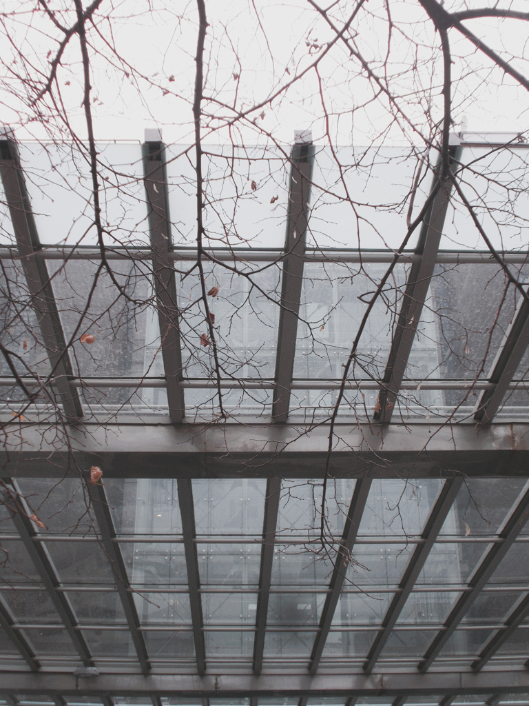 foxyな冬枯れの枝～～★