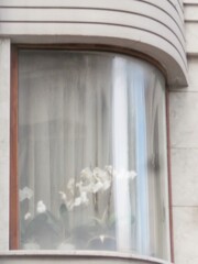 窓～　道行く人の為に～♡　住人はきっと…