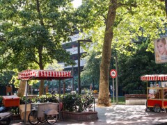 朝　住宅街の中のちっちゃな公園～