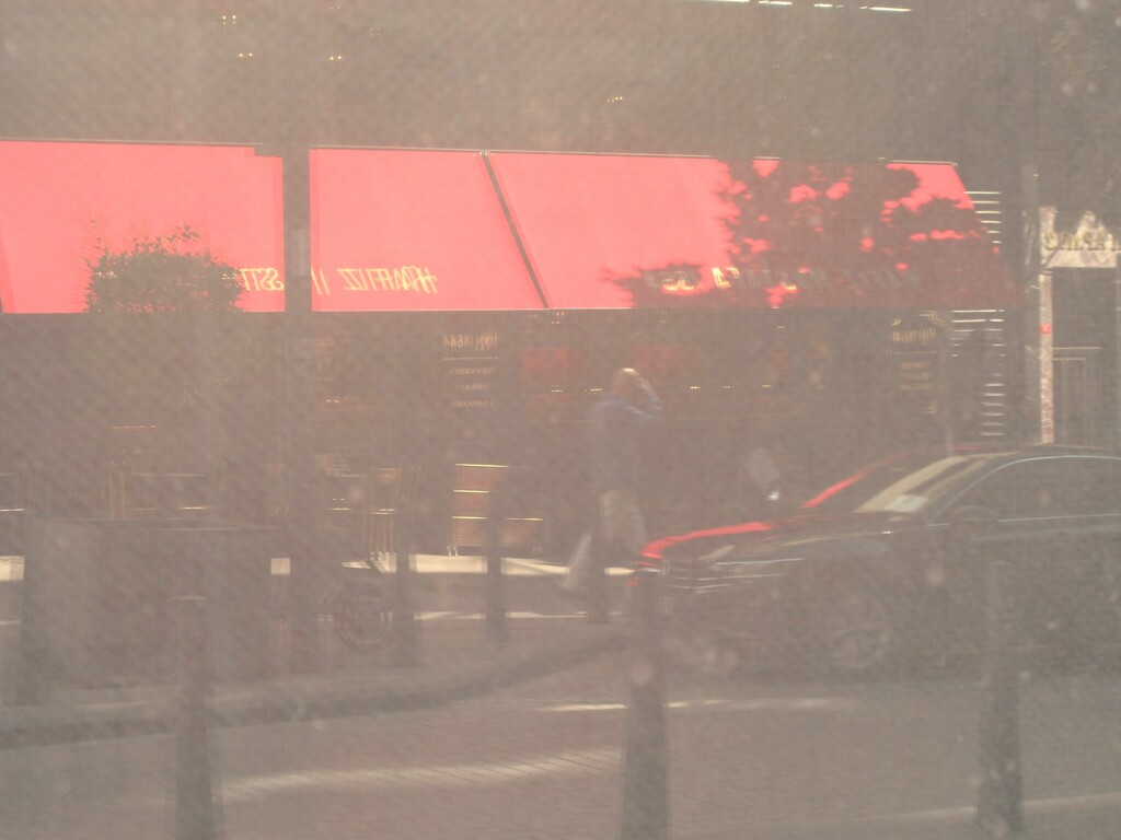 昼下がり～