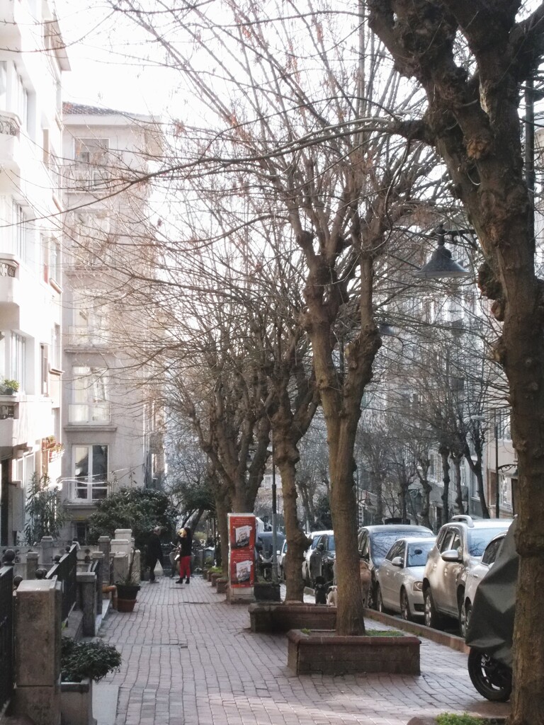 朝の立ち話だって　もう　少し長めに～～