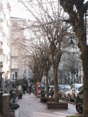 朝の立ち話だって　もう　少し長めに～～