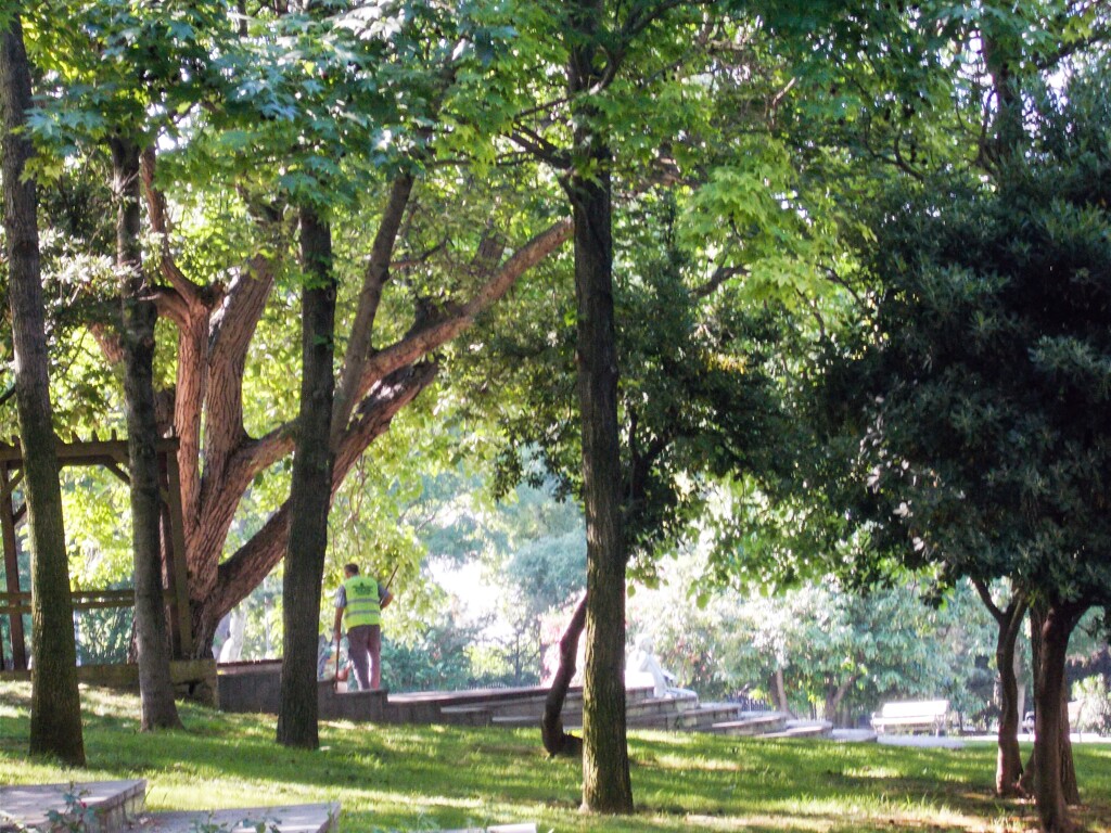 毎朝の公園の掃除～