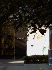 私の刀が折れるまで…