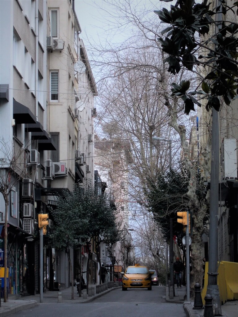 冬の黄色は　日差し色～