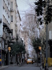 冬の黄色は　日差し色～