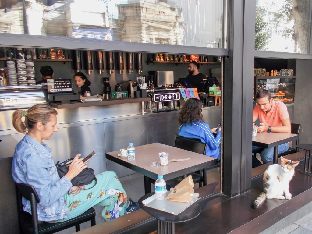 ニャンだ…空っぽなんだ…