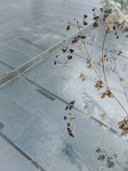 無関心で居られたら…