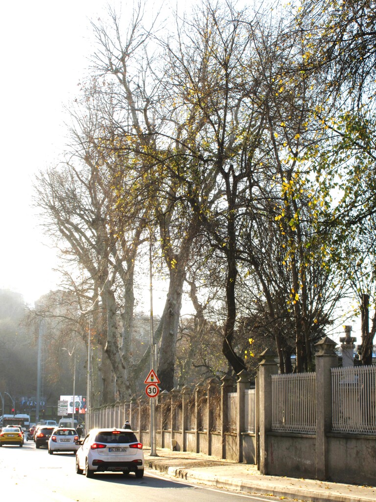 天地同根　万物一体