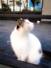 fragrance～～