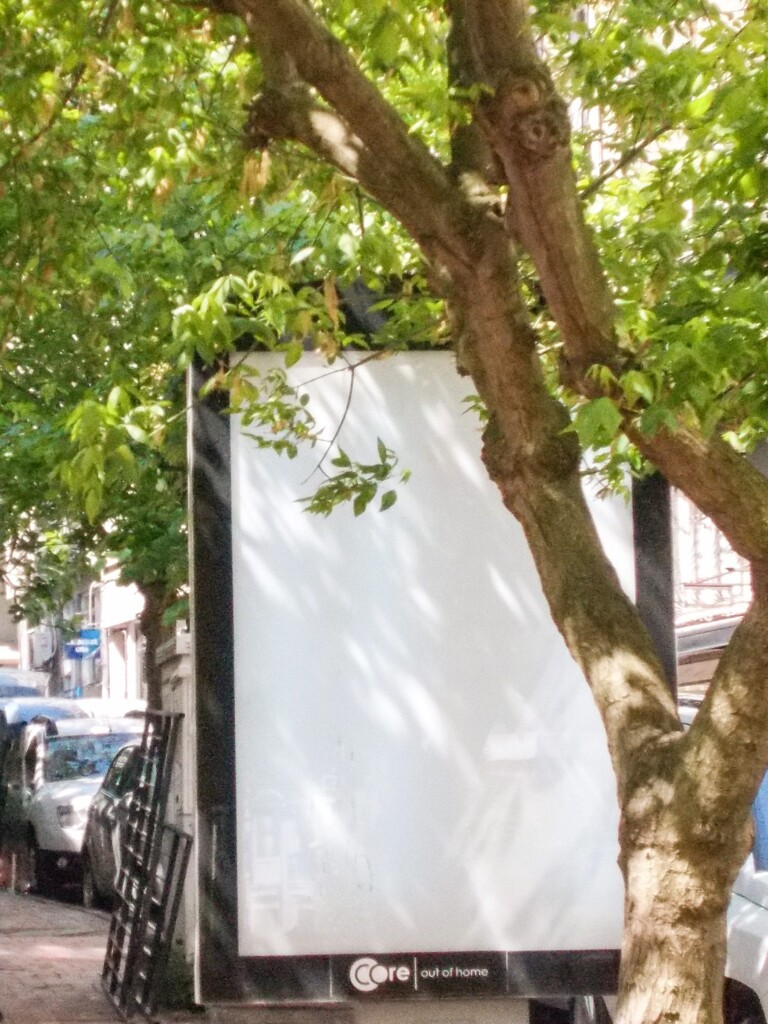 若葉からの手紙…