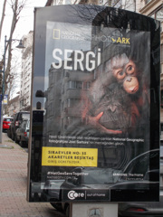 絶滅危惧種　写真展のポスター