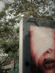 もういいかい～まだだよ～