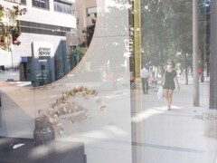 レフレクション　コロナ自粛を機にあちこち大改造中～