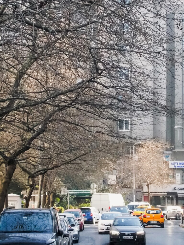 朝の通勤～～