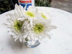 カフェ　白いおもてなしと除菌スプレイ～♡