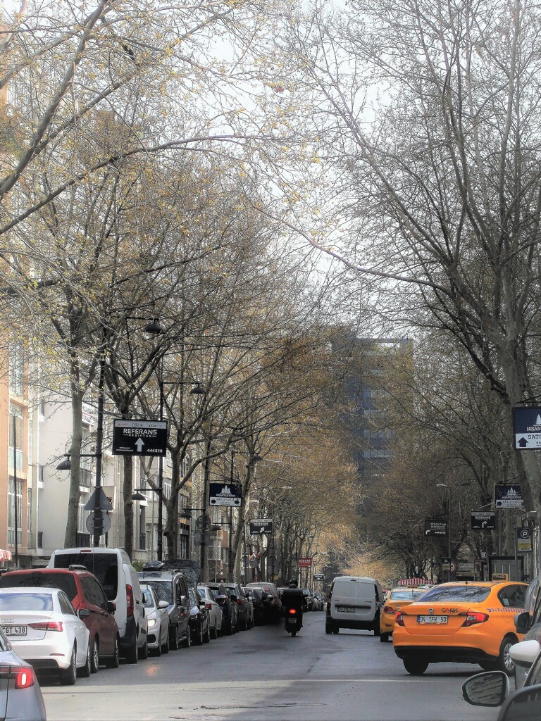 朝～　光りに向かって～♪