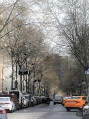 朝～　光りに向かって～♪