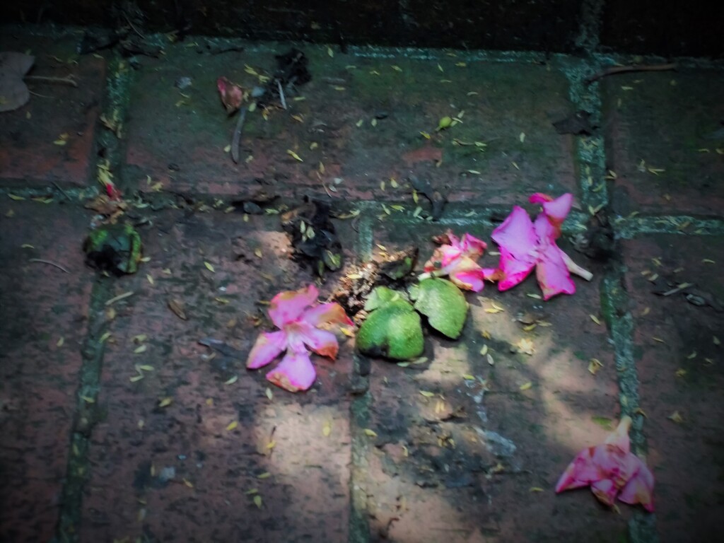 捨ててしまえば…それだけの事…