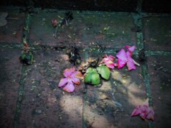 捨ててしまえば…それだけの事…