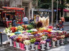 ジプシーの花売り