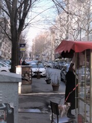 嗅覚だけじゃなくて　犬のすべての感覚は驚異的…！