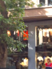 凜と…立ち向かう…