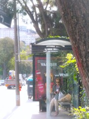 朝陽の中で　花束抱えて～～♡