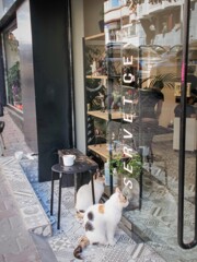 お行儀いい　姉妹ニャン～♡