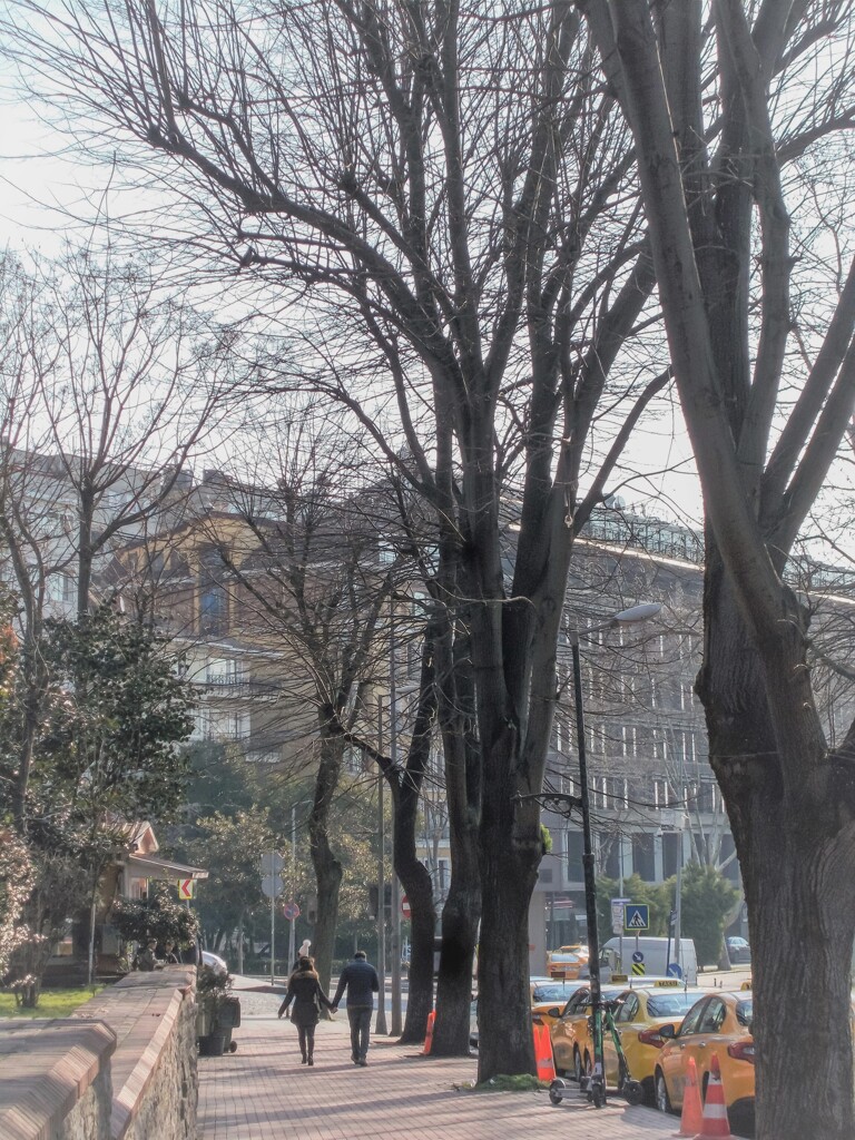 hazy shade of winter～