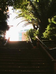 光ニャン～～☆