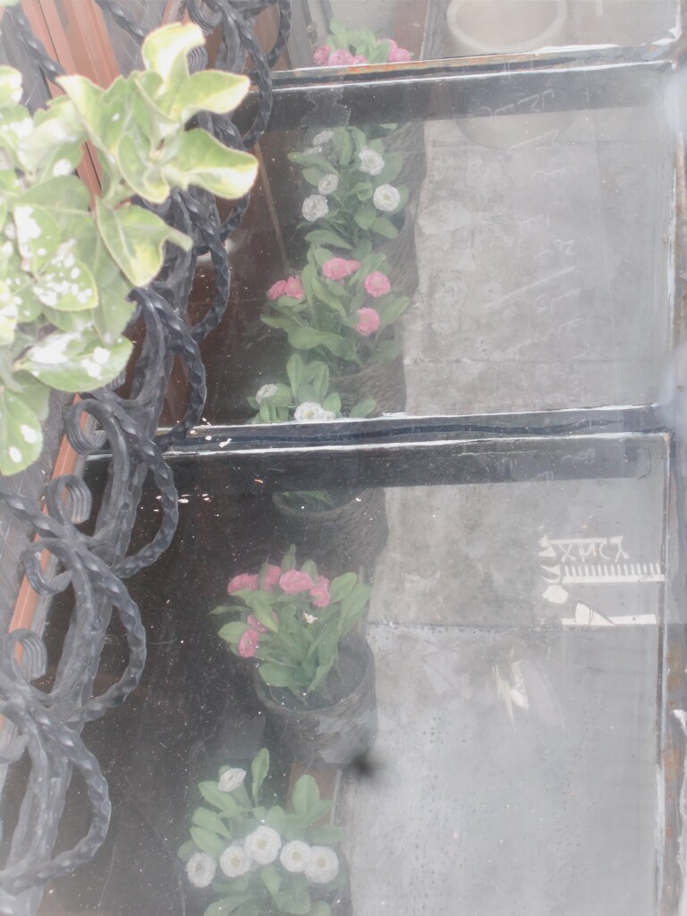 あなた　明日が見えますか～～♪　