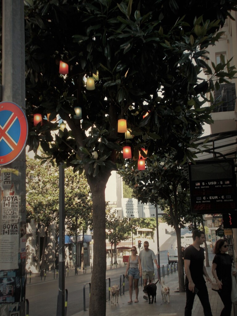 もうすぐ日が暮れる…今夜は…