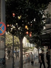 もうすぐ日が暮れる…今夜は…