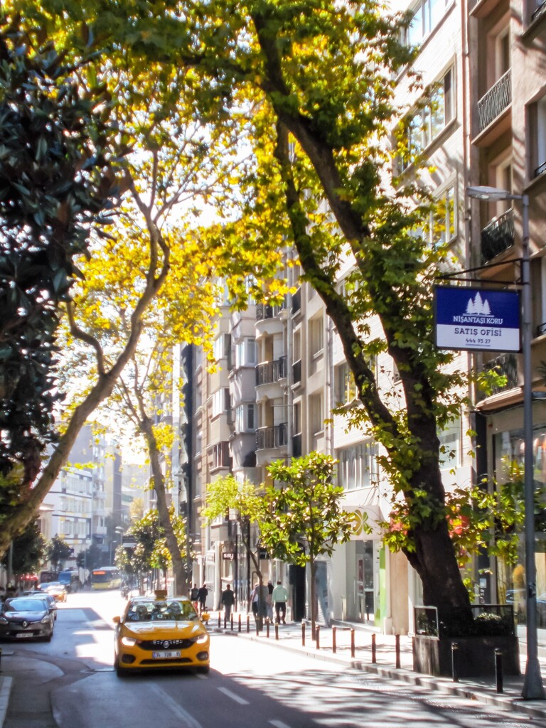 秋晴れの朝～✨