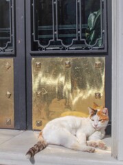 ポカポカ～うらうら～