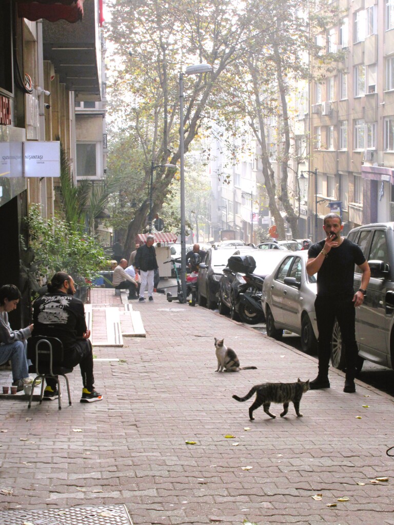 クワフールの朝礼～☆　