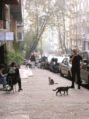 クワフールの朝礼～☆　