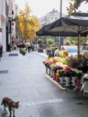 どちらまで…？