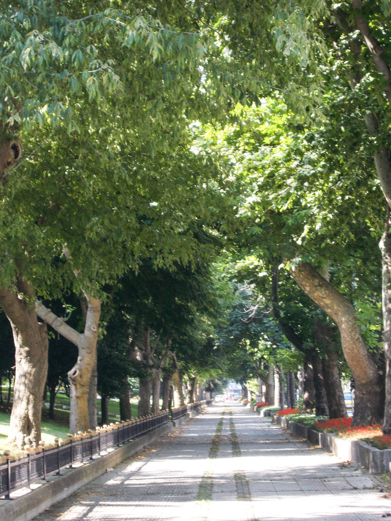 ブールバード沿いの歩道　下るとボスポラス～☆