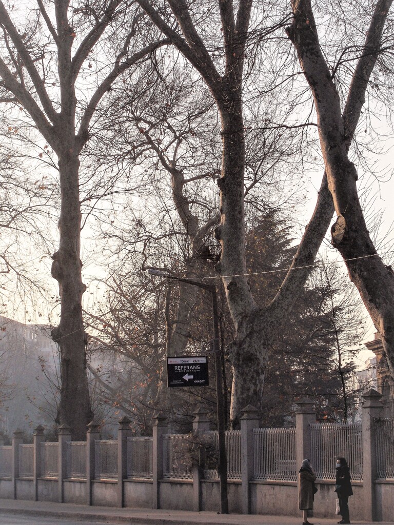 お喋りの息も白い朝~**