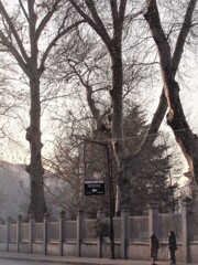 お喋りの息も白い朝~**