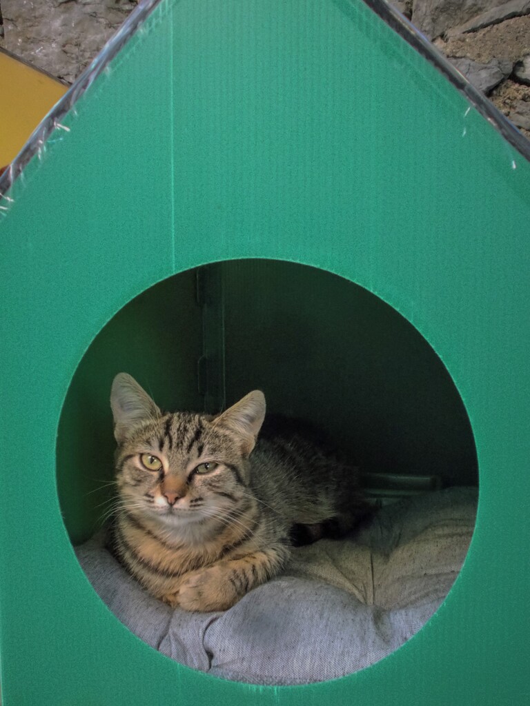 お眠り中～～　”君～！”って叱られた～～