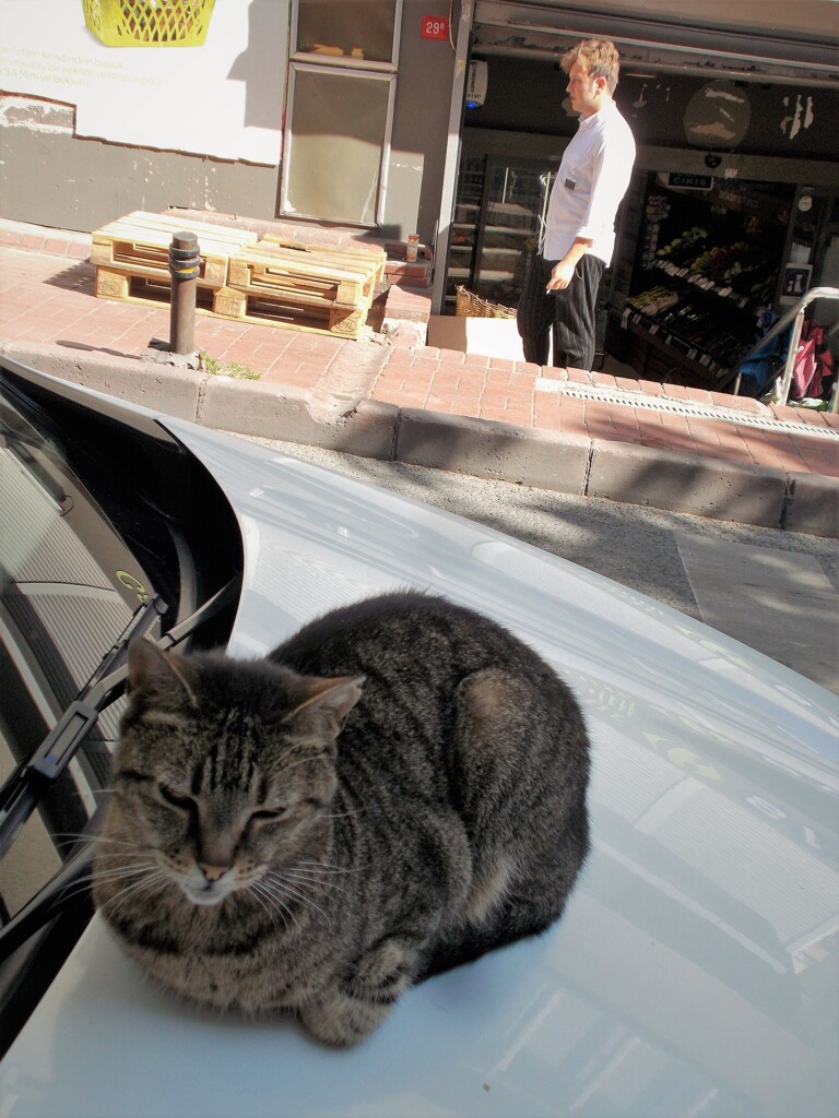 優しい子～～♡