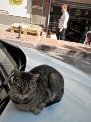 優しい子～～♡