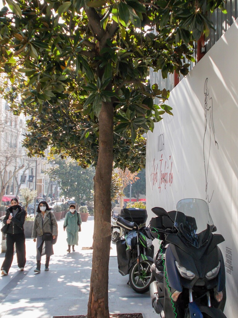 淡い春～　うらうら～♪