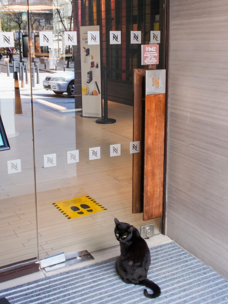 フィジカルディスタンス～