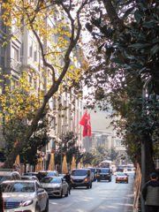 ショッピングモールにも国旗～