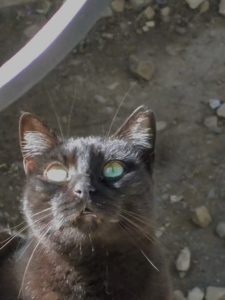 黒たん　お口閉じて～♡