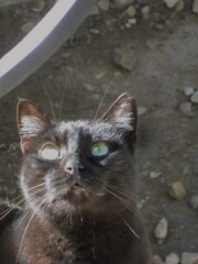 黒たん　お口閉じて～♡